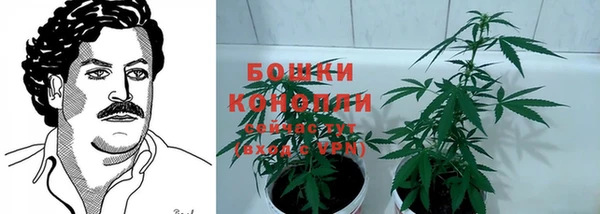 прущий лед Абаза
