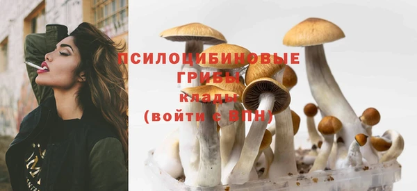 прущий лед Абаза
