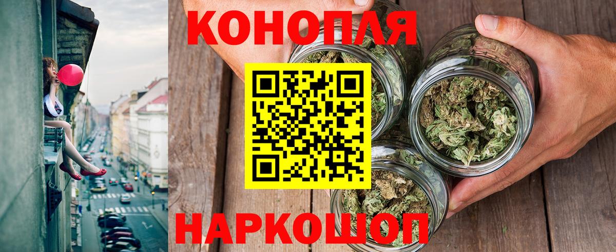 Каннабис марихуана Кингисепп